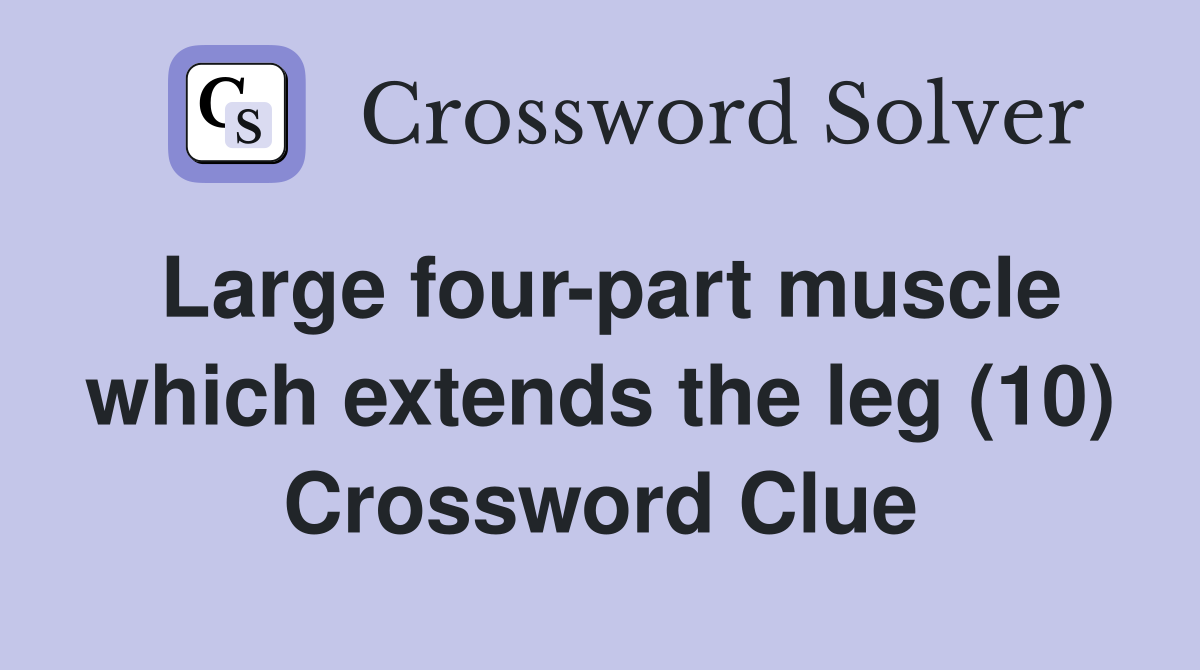 Large fourpart muscle which extends the leg (10) Crossword Clue